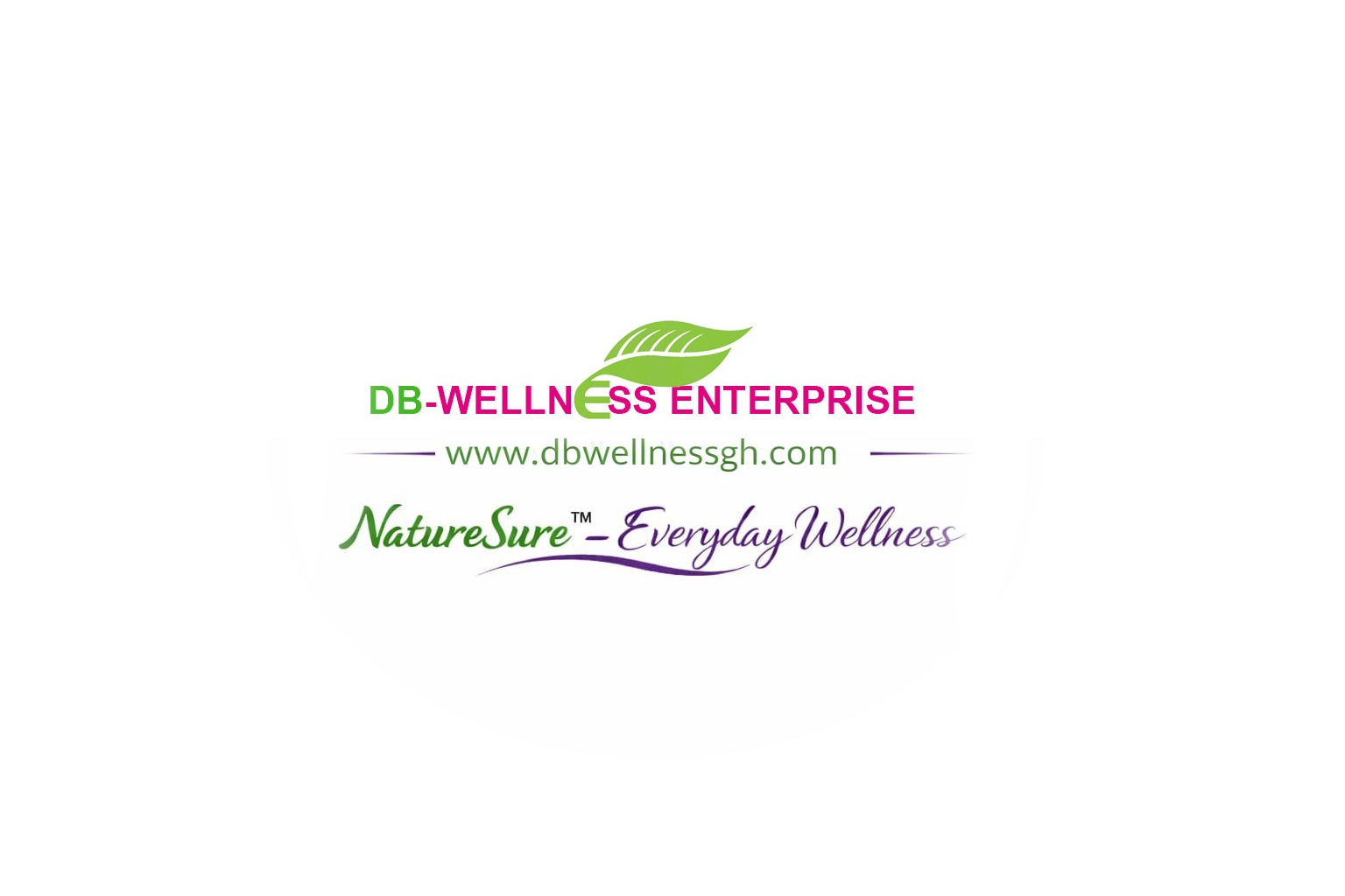 DB-Wellness Enterprise Logo